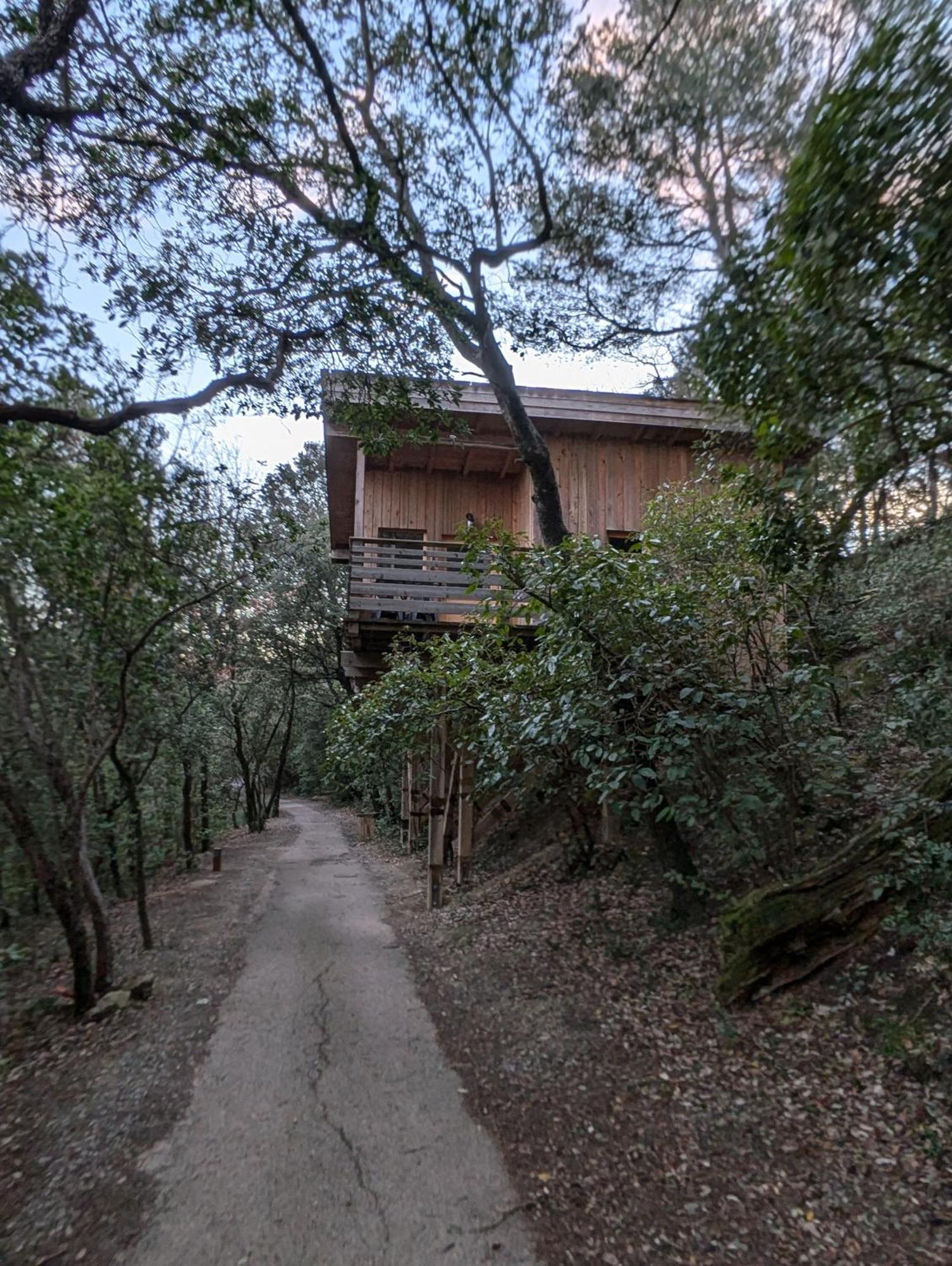 Les Cabanes Dans Les Bois Logis Hotel Villedubert Zewnętrze zdjęcie
