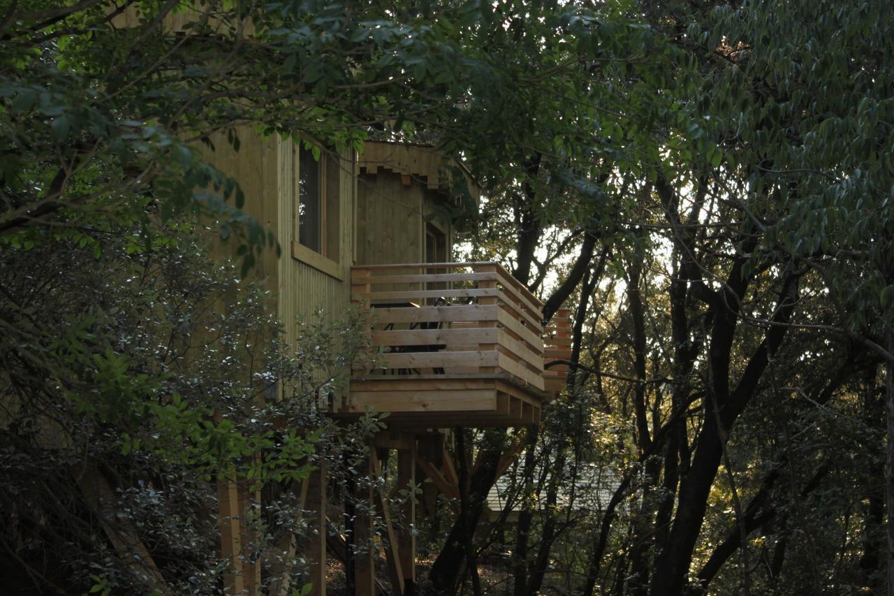 Les Cabanes Dans Les Bois Logis Hotel Villedubert Pokój zdjęcie