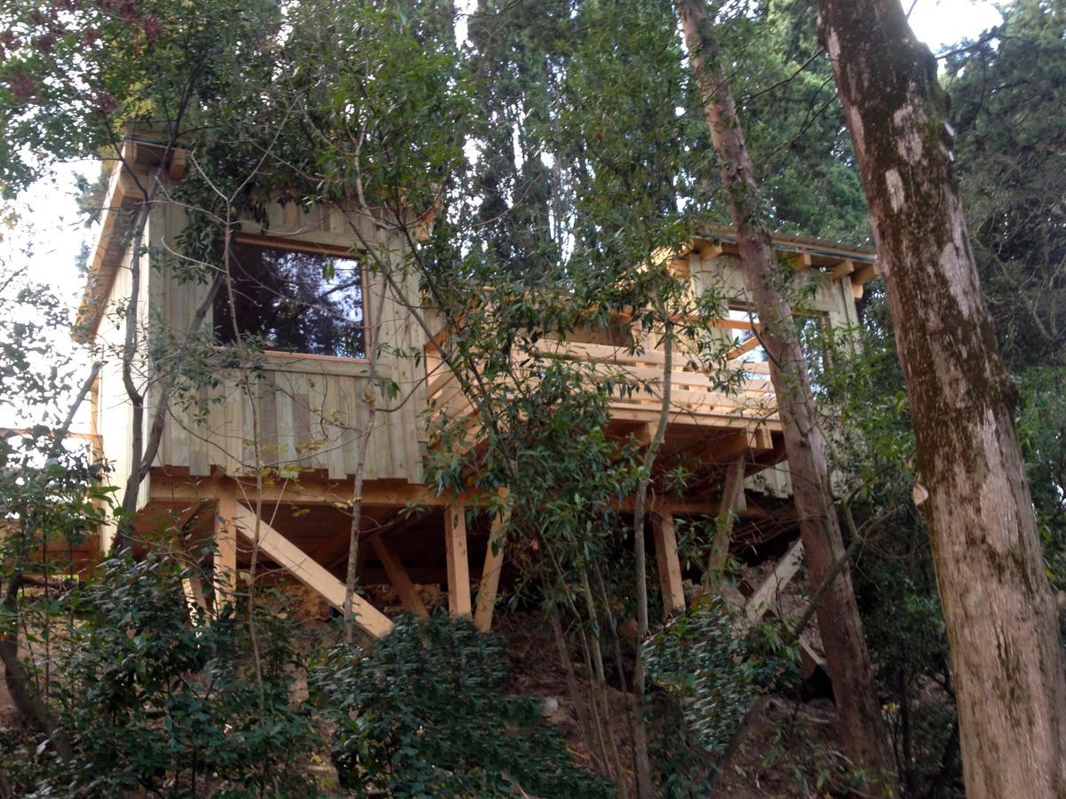 Les Cabanes Dans Les Bois Logis Hotel Villedubert Pokój zdjęcie