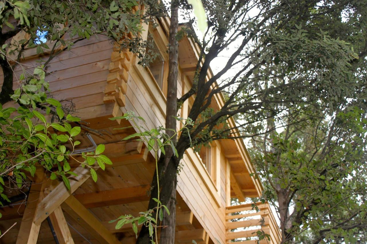 Les Cabanes Dans Les Bois Logis Hotel Villedubert Zewnętrze zdjęcie