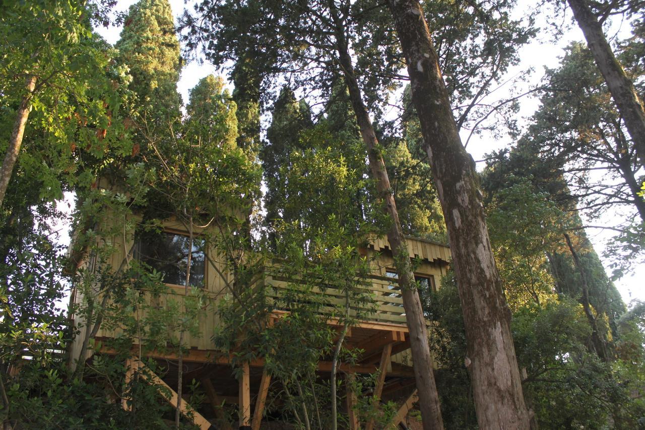 Les Cabanes Dans Les Bois Logis Hotel Villedubert Pokój zdjęcie