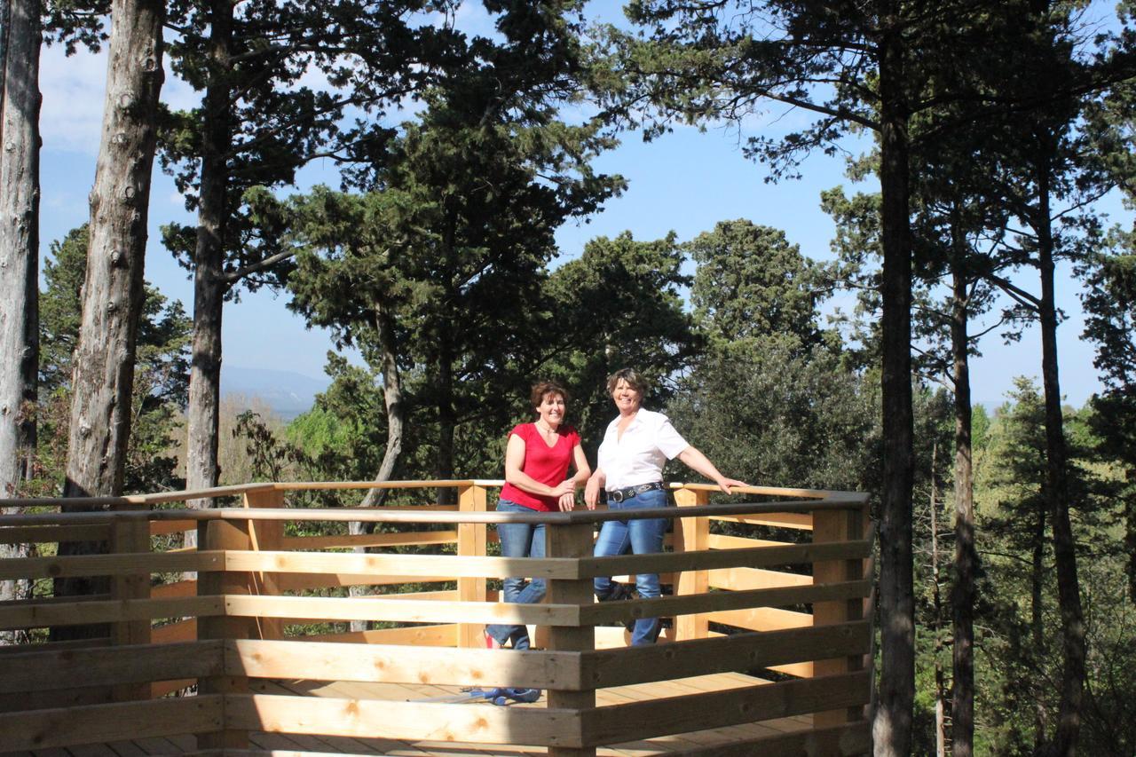 Les Cabanes Dans Les Bois Logis Hotel Villedubert Zewnętrze zdjęcie