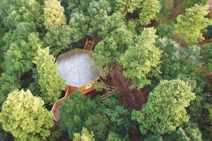 Les Cabanes Dans Les Bois Logis Hotel Villedubert Zewnętrze zdjęcie