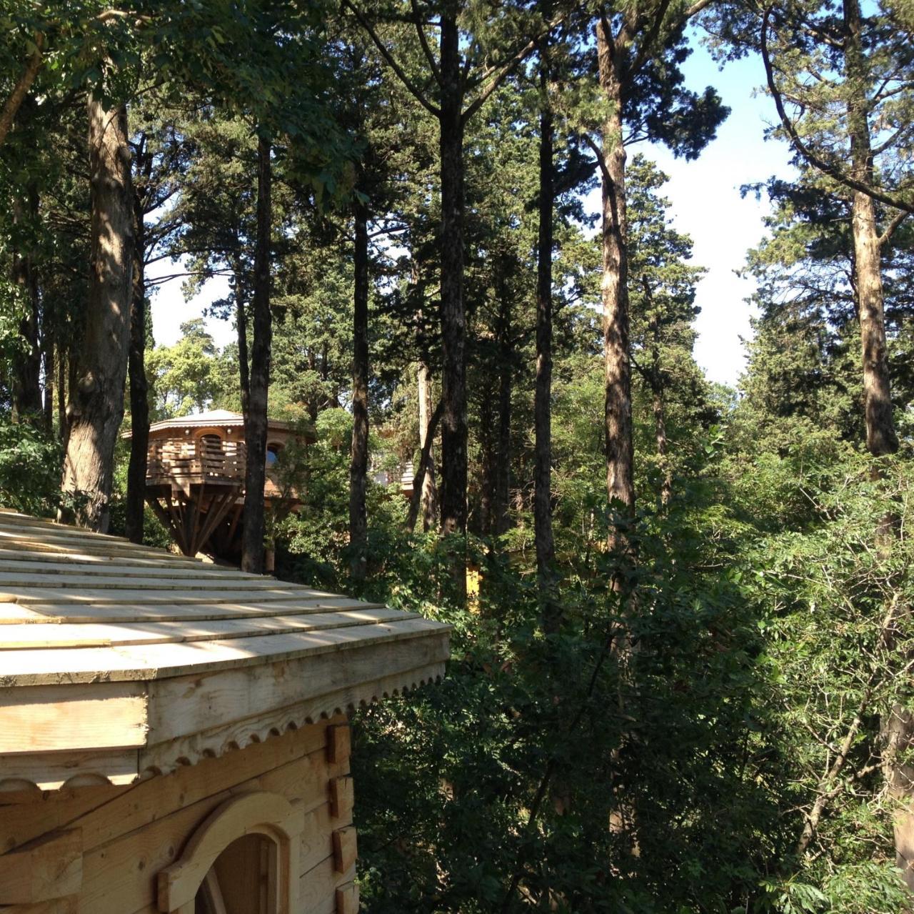 Les Cabanes Dans Les Bois Logis Hotel Villedubert Zewnętrze zdjęcie